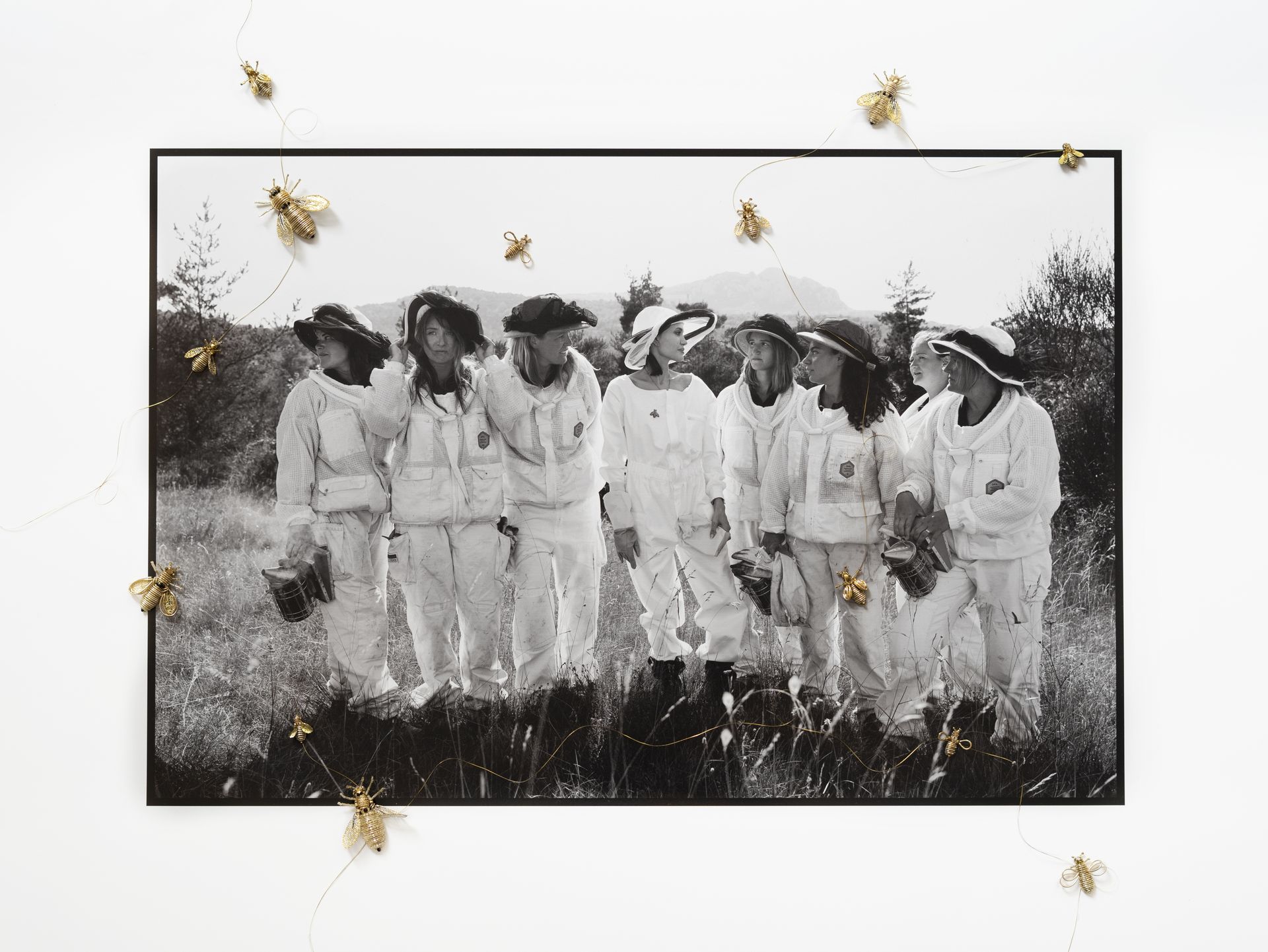 angelina jolie women for bees beekeeper