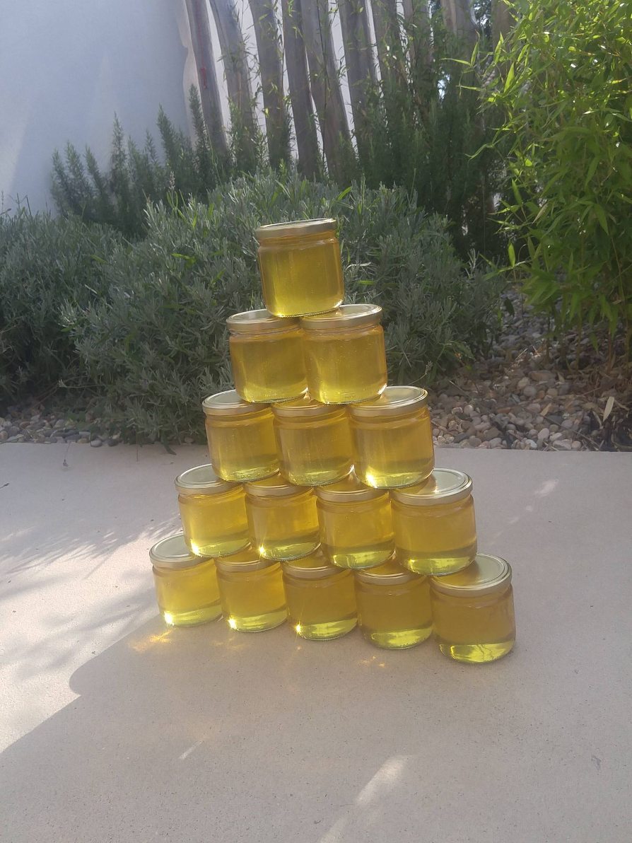Première récolte de miel de lavande récolte de miel de lavande en pots