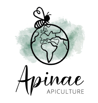 Apinae Apiculture